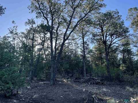 Lot 25 Block 4 Box S Ranch Road, Ramah, NM 87321