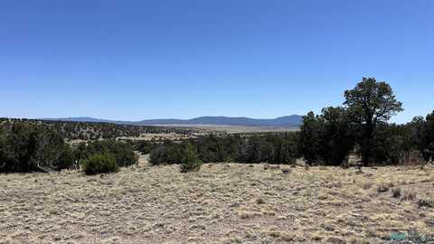 47 Golden Horseshoe Tr Road, Quemado, NM 87829