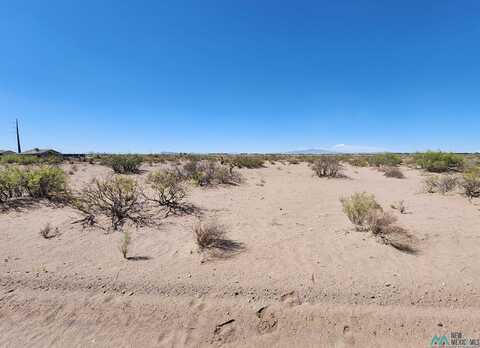 Xxx SW Coyote Road, Deming, NM 88030