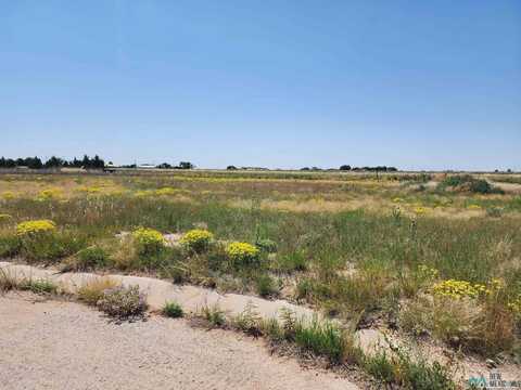 1821 Quail-Wood Drive, Portales, NM 88130