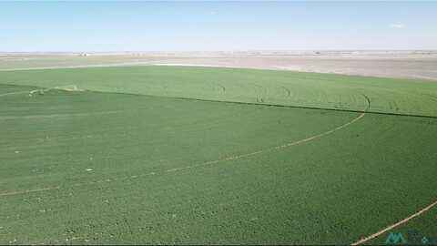 2675 S Roosevelt Road 3, Portales, NM 88130