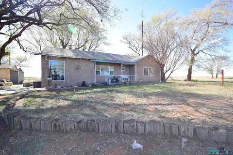 56 N Roosevelt Road Ad, Portales, NM 88130