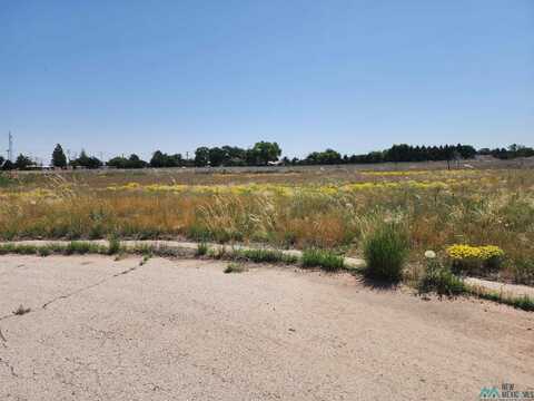 1819 Quail-Wood Drive, Portales, NM 88130