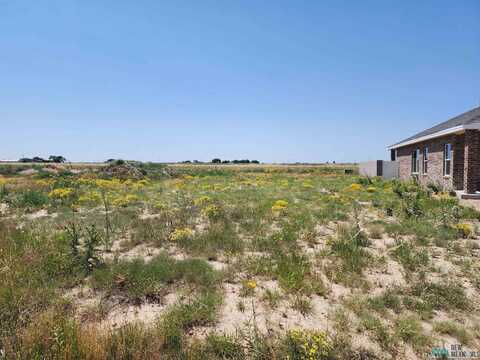 1825 Quail-Wood Drive, Portales, NM 88130