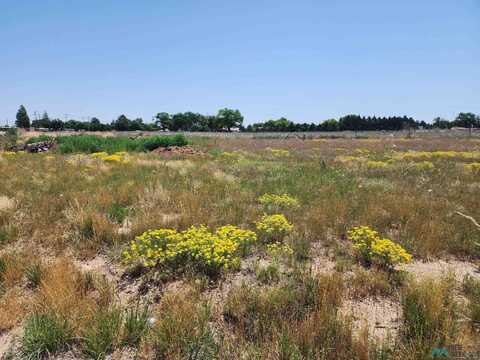 1817 Quail-Wood Drive, Portales, NM 88130