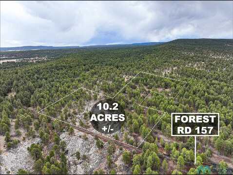 Lot 25a Forest 157 Road, Mcgaffey, NM 87316