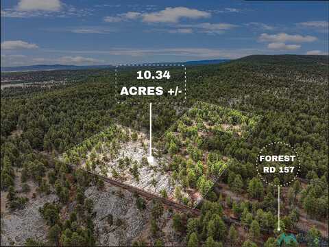Lot 25a Forest 157 Road, Mcgaffey, NM 87316