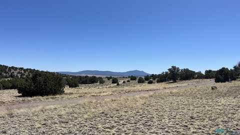 Lot 17 Golden Horseshoe Tr Road, Quemado, NM 87829
