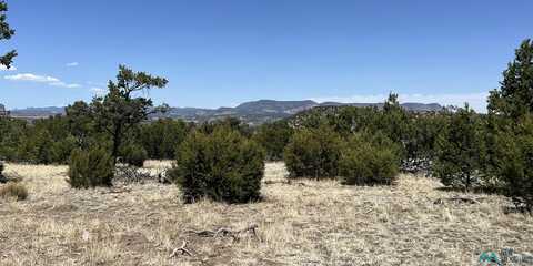 Lot 66 Wagon Trail Road, Datil, NM 87821