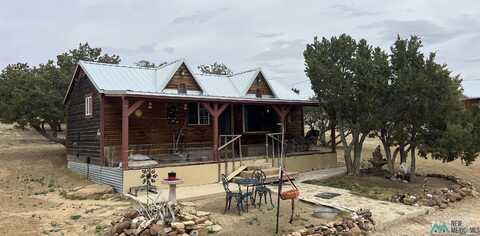 15 Victoria Ct Road, Pie Town, NM 87827