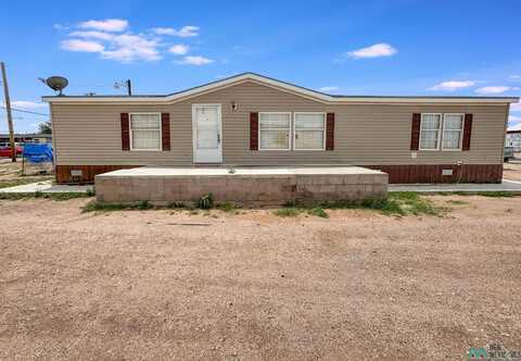 313 W Roxana Street, Hobbs, NM 88240