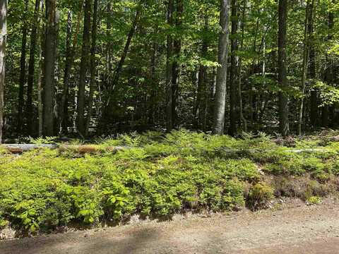 -- Freedom Point Road, Freedom, NH 03836