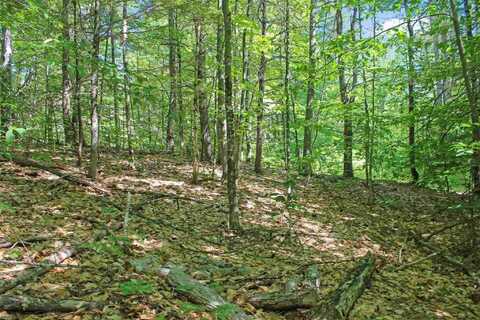 4 John Terrace, Ossipee, NH 03864