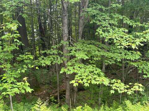 00 VT Route 105, Barton, VT 05846