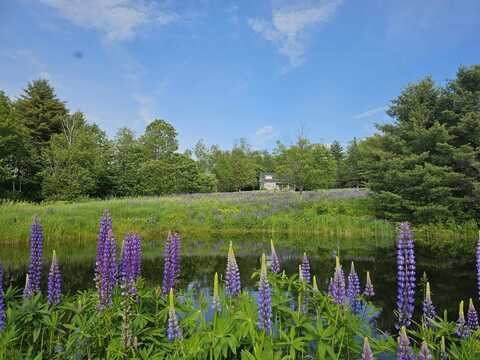 171 Pollard Road, Grafton, VT 05146