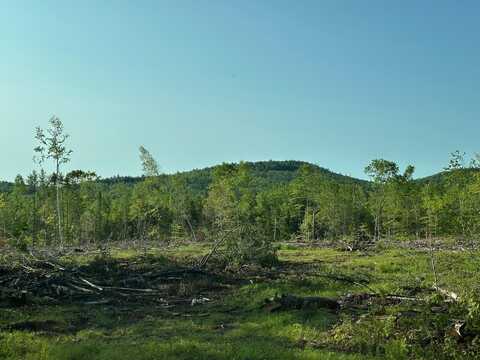 00 Thurley Road, Ossipee, NH 03814