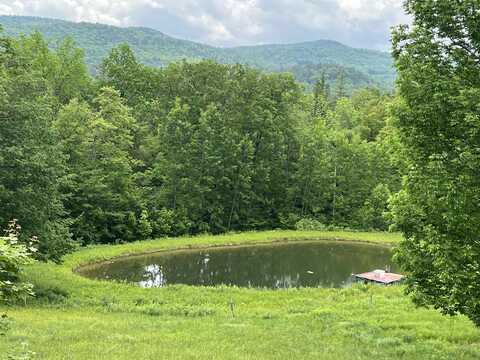 2194 Mowrey Road, Jamaica, VT 05343