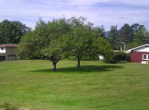 145 Langdell Road, Morristown, VT 05661