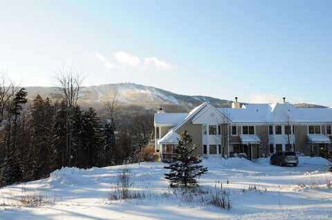 9D Dover Springs Lane, Dover, VT 05356