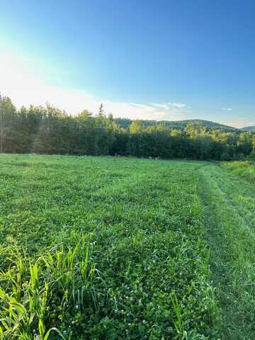 Map 7 Lot 1 Battle Street, Webster, NH 03303