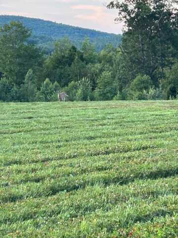 Map 7 Lot 1, 298 Battle Street, Webster, NH 03303