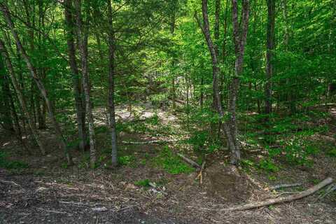 0 Route 100 N, Plymouth, VT 05056