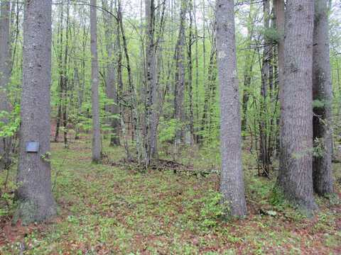 72 Brewster Road, Barrington, NH 03825