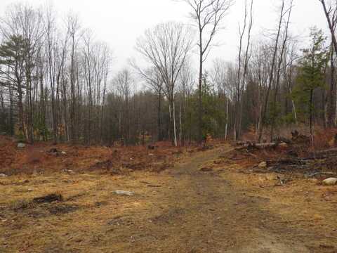 0011245 Parkview Street, Newport, NH 03773