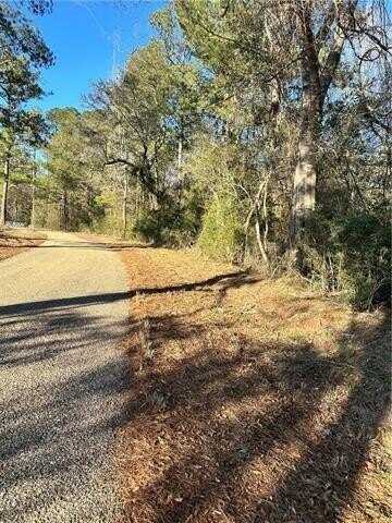 00 JARRELL TOWN Road, Bogalusa, LA 70427