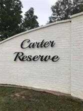 Lot 325 PENNTAIL Street, Springfield, LA 70462