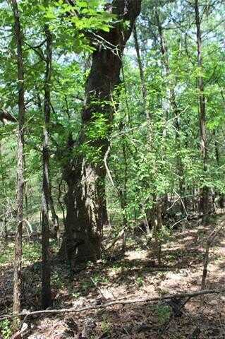 5 E 1909 Road, Antlers, OK 74523