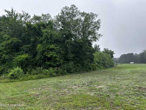 Tbd Nelson Road, Grifton, NC 28530