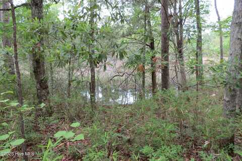 117 Shoreline Court, Oriental, NC 28571