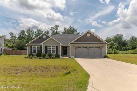 317 Lonesome Dove Court, Maysville, NC 28555