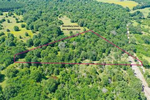 Tract 10 FCR 295, Oakwood, TX 75855