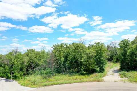 120 Bear Cat Court, Alvord, TX 76225