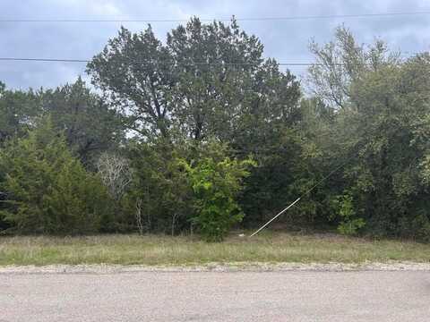44028 Fringewood Drive, Whitney, TX 76692