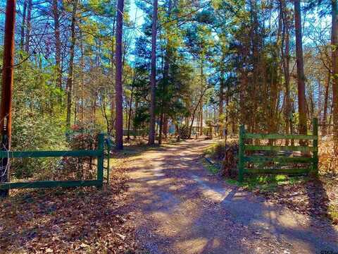 257 County Road 4597, Winnsboro, TX 75494