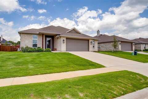 812 Porcupine Drive, Springtown, TX 76082