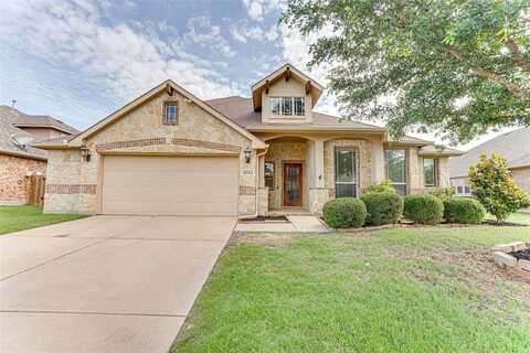 1012 Honeywell Drive, Anna, TX 75409
