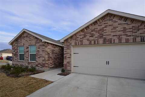 1948 Damianita Drive, Royse City, TX 75189