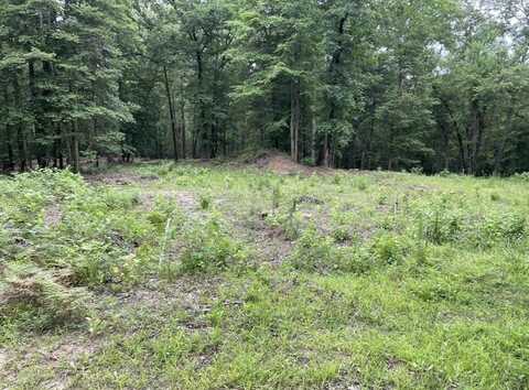 1688 County Road 1597, Avinger, TX 75630