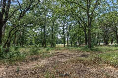 9012 Emma Court, Granbury, TX 76049