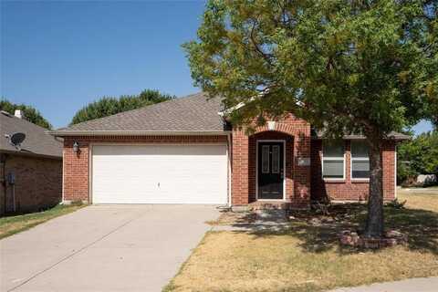 13165 Barbarosa Drive, Frisco, TX 75035