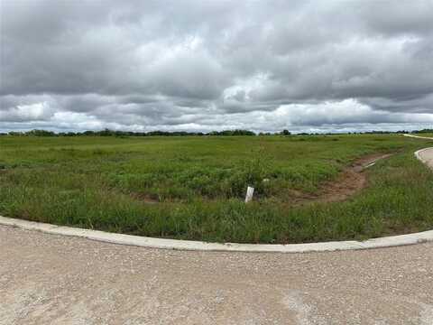 101 Paradise Ranch Road, Gordonville, TX 76245