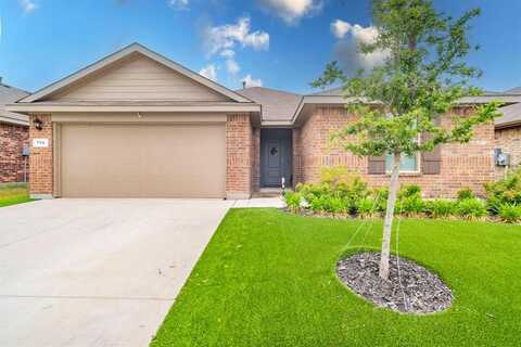 756 Loomis Trail, Justin, TX 76247