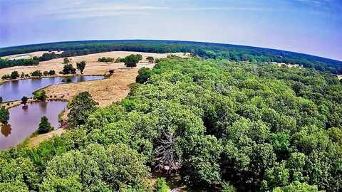 1963 County Road 44750, Blossom, TX 75416