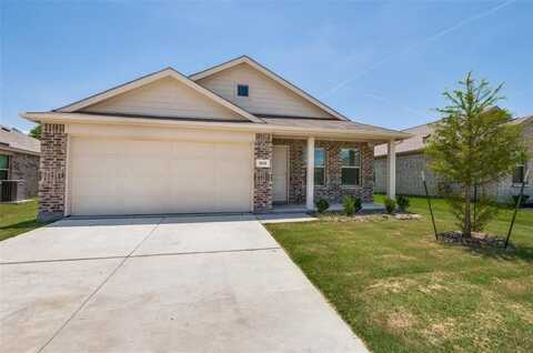 1525 Vattier Street, Little Elm, TX 75068