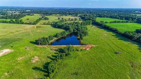 912 County Road 4110, Pittsburg, TX 75686