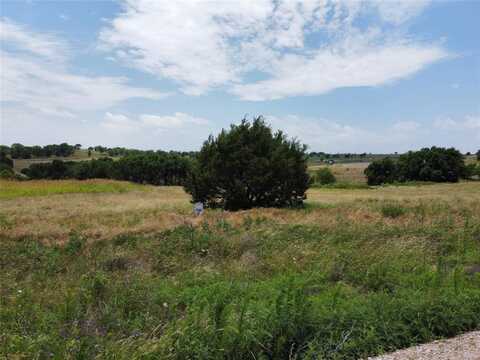 2939 Mattie Ross Road, Granbury, TX 76049